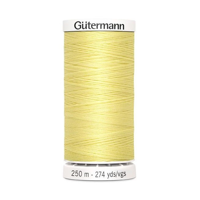 578 Gutermann Coselotodo Poliester 250m
