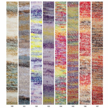Carta de colores