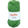 82197 - Verde mayo