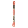 Madeja hilo mouliné de DMC color 3824 - Chicle de fresa