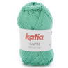 2171 - Turquesa menta